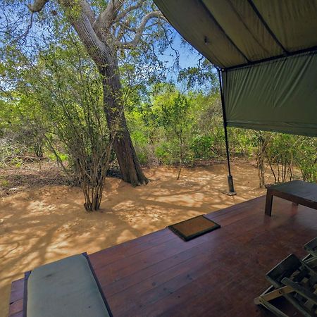 Yala Hotel Lion -Air Conditioned High Luxury Safari Camp المظهر الخارجي الصورة