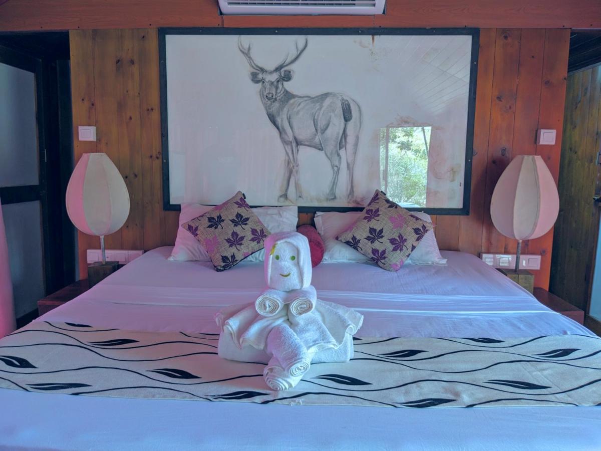 Yala Hotel Lion -Air Conditioned High Luxury Safari Camp المظهر الخارجي الصورة