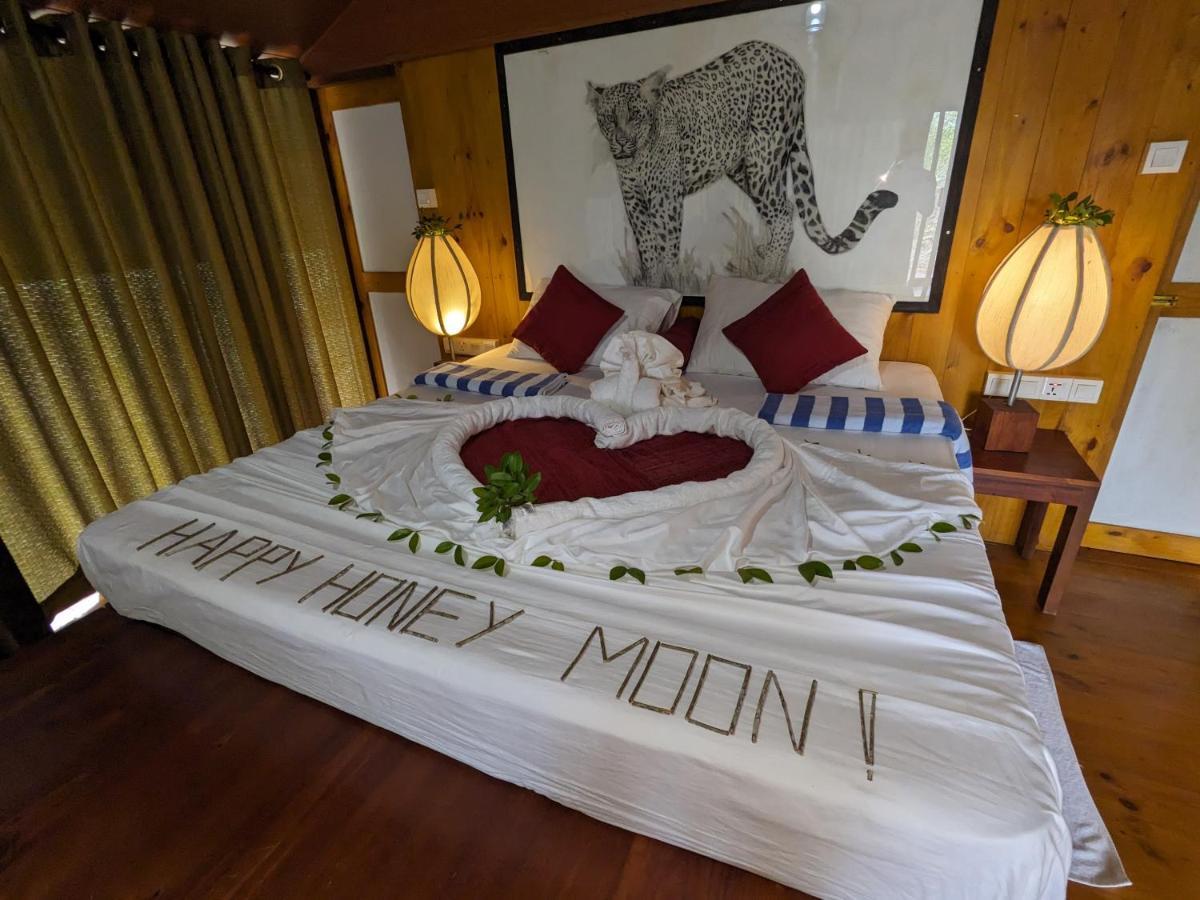 Yala Hotel Lion -Air Conditioned High Luxury Safari Camp المظهر الخارجي الصورة