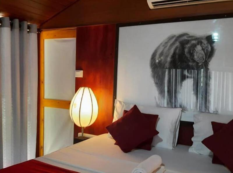 Yala Hotel Lion -Air Conditioned High Luxury Safari Camp المظهر الخارجي الصورة