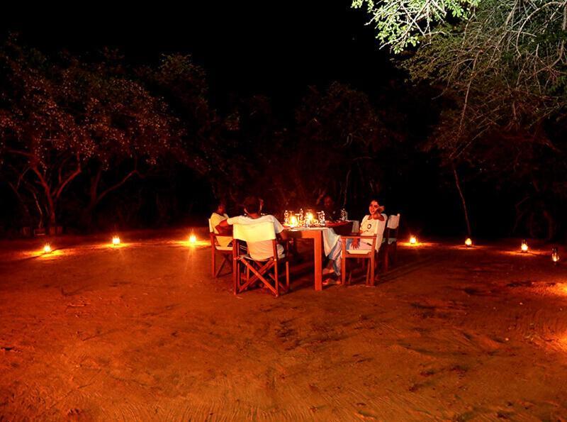 Yala Hotel Lion -Air Conditioned High Luxury Safari Camp المظهر الخارجي الصورة