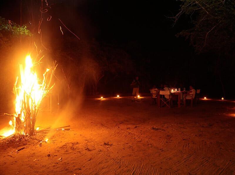 Yala Hotel Lion -Air Conditioned High Luxury Safari Camp المظهر الخارجي الصورة