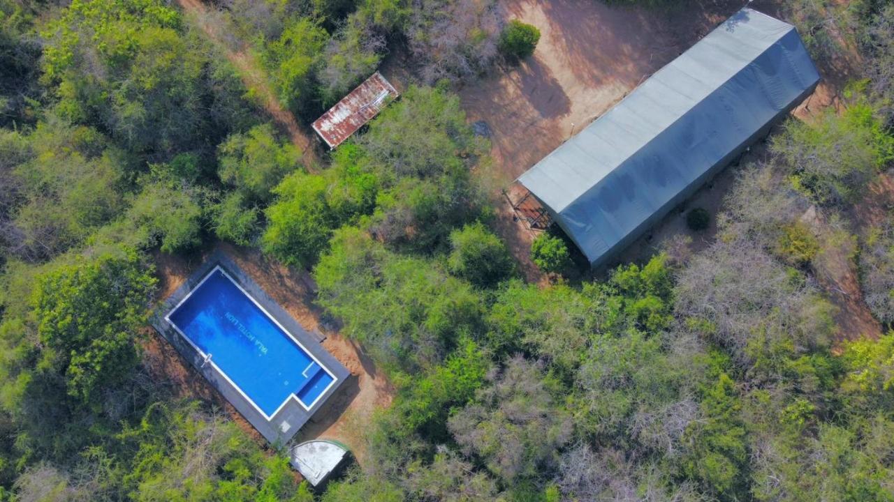 Yala Hotel Lion -Air Conditioned High Luxury Safari Camp المظهر الخارجي الصورة