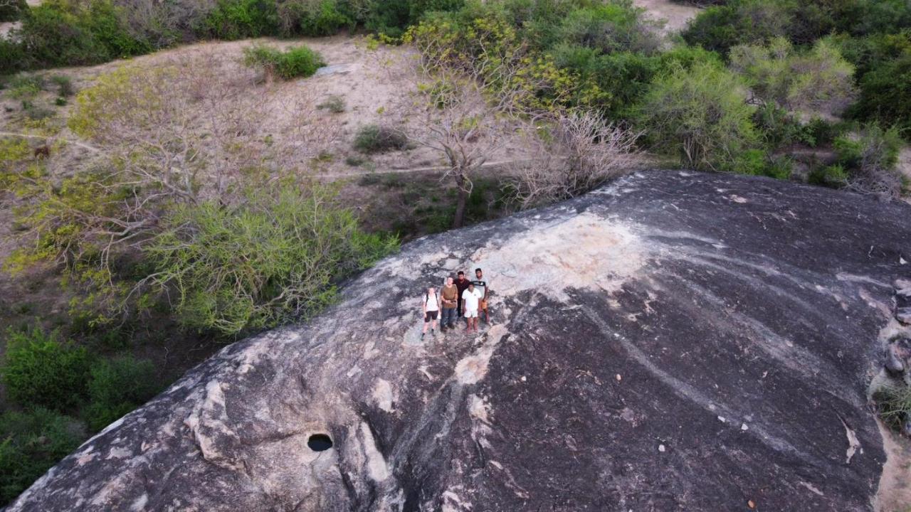 Yala Hotel Lion -Air Conditioned High Luxury Safari Camp المظهر الخارجي الصورة