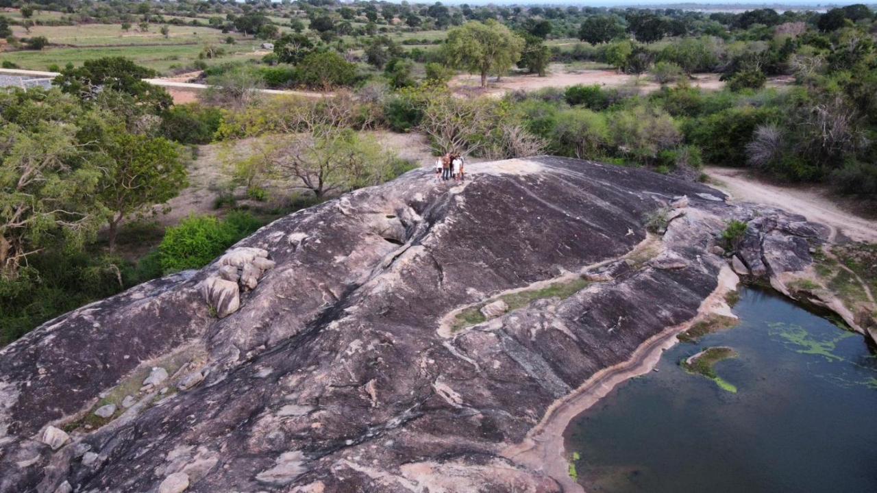 Yala Hotel Lion -Air Conditioned High Luxury Safari Camp المظهر الخارجي الصورة