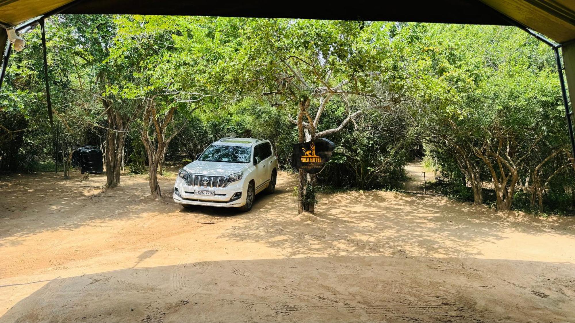 Yala Hotel Lion -Air Conditioned High Luxury Safari Camp المظهر الخارجي الصورة