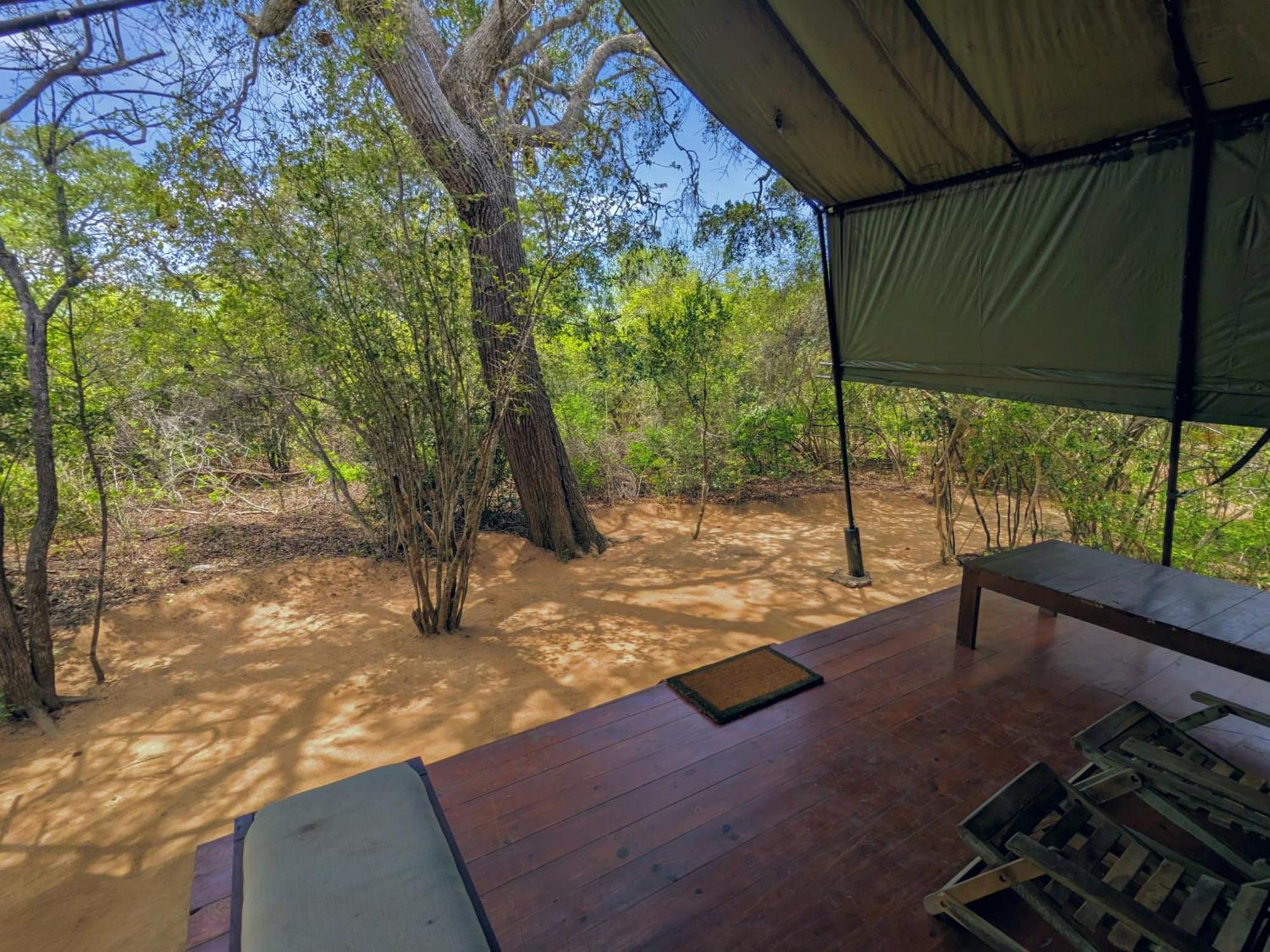 Yala Hotel Lion -Air Conditioned High Luxury Safari Camp المظهر الخارجي الصورة