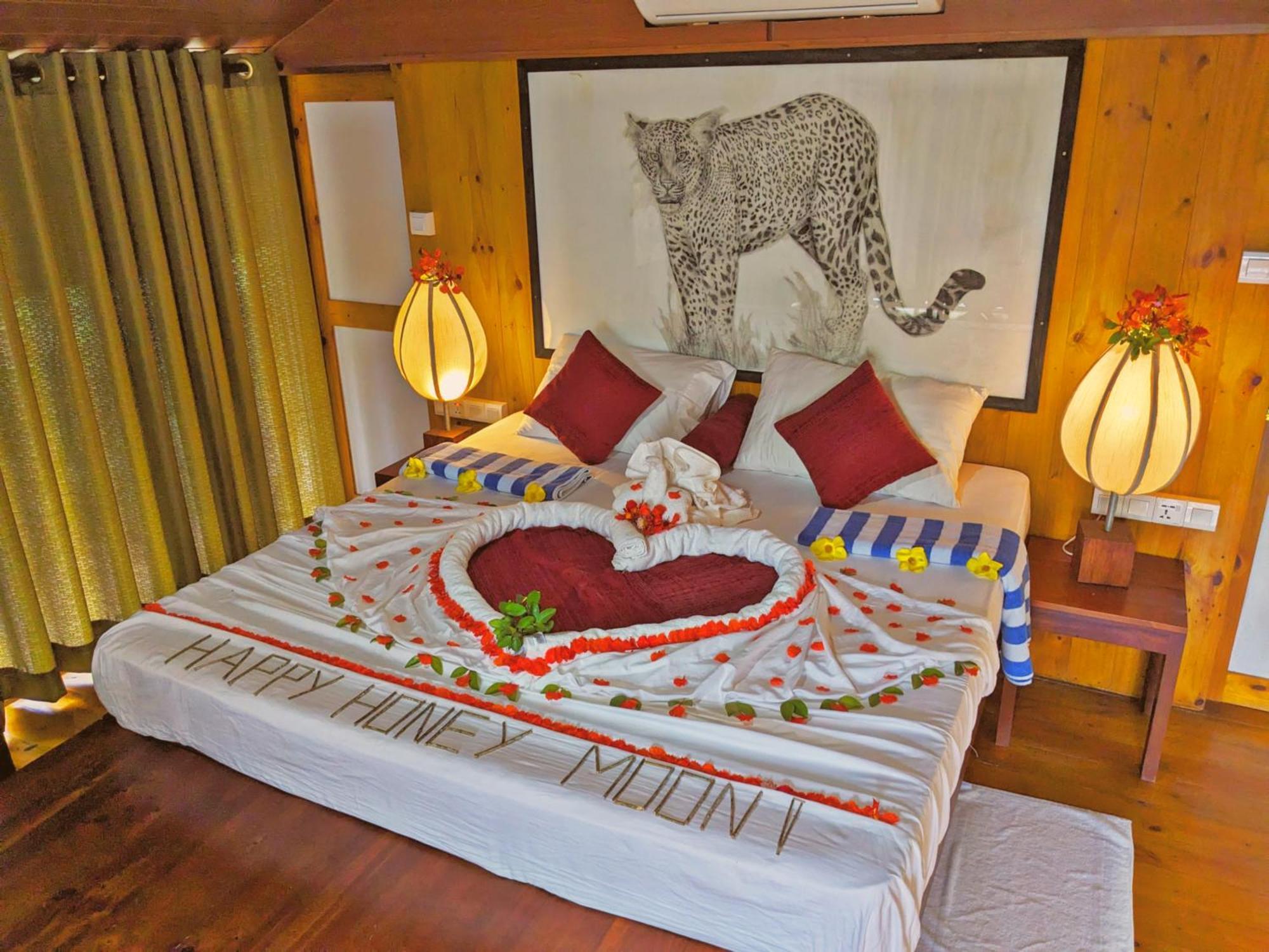 Yala Hotel Lion -Air Conditioned High Luxury Safari Camp المظهر الخارجي الصورة