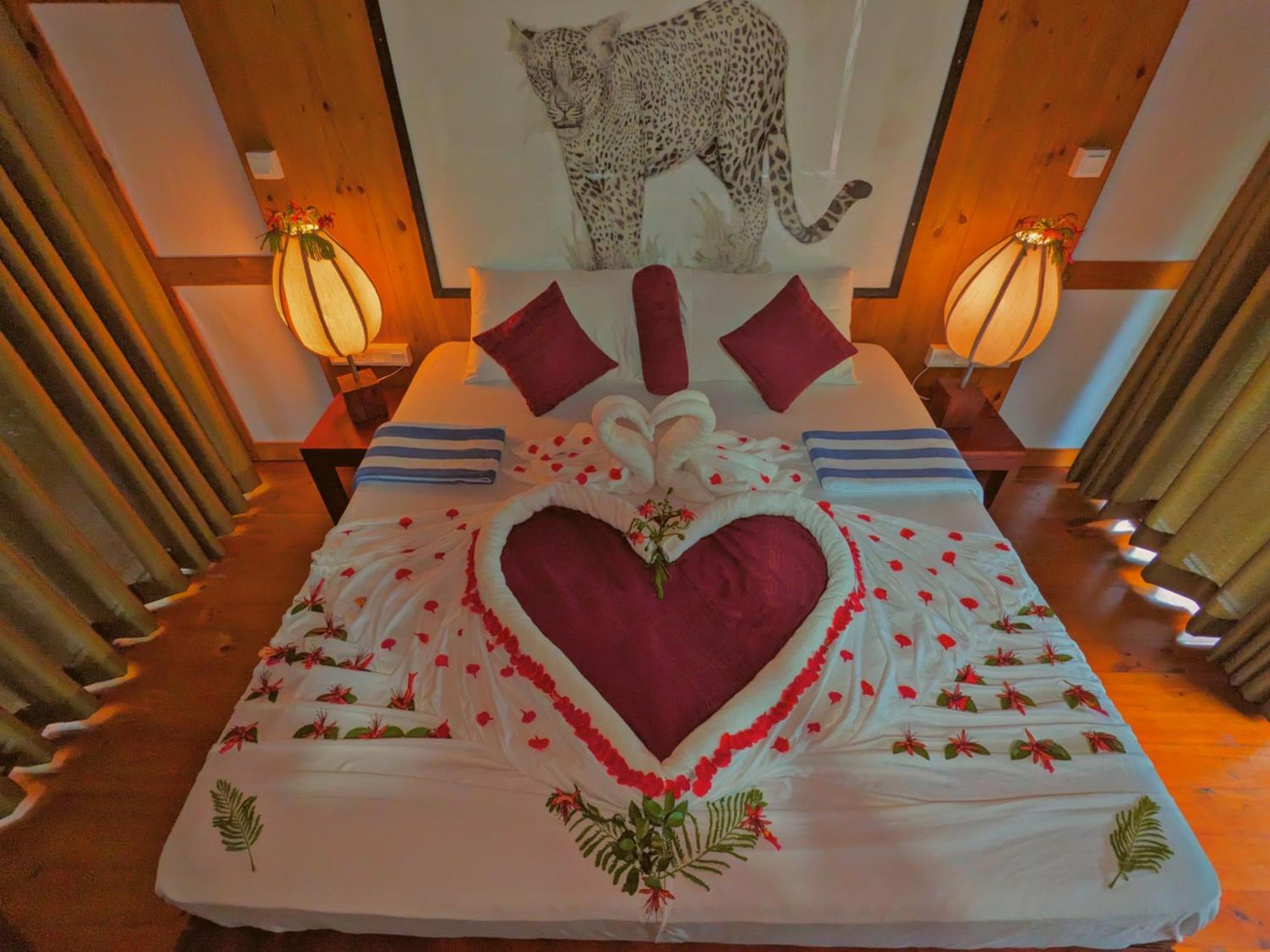 Yala Hotel Lion -Air Conditioned High Luxury Safari Camp المظهر الخارجي الصورة