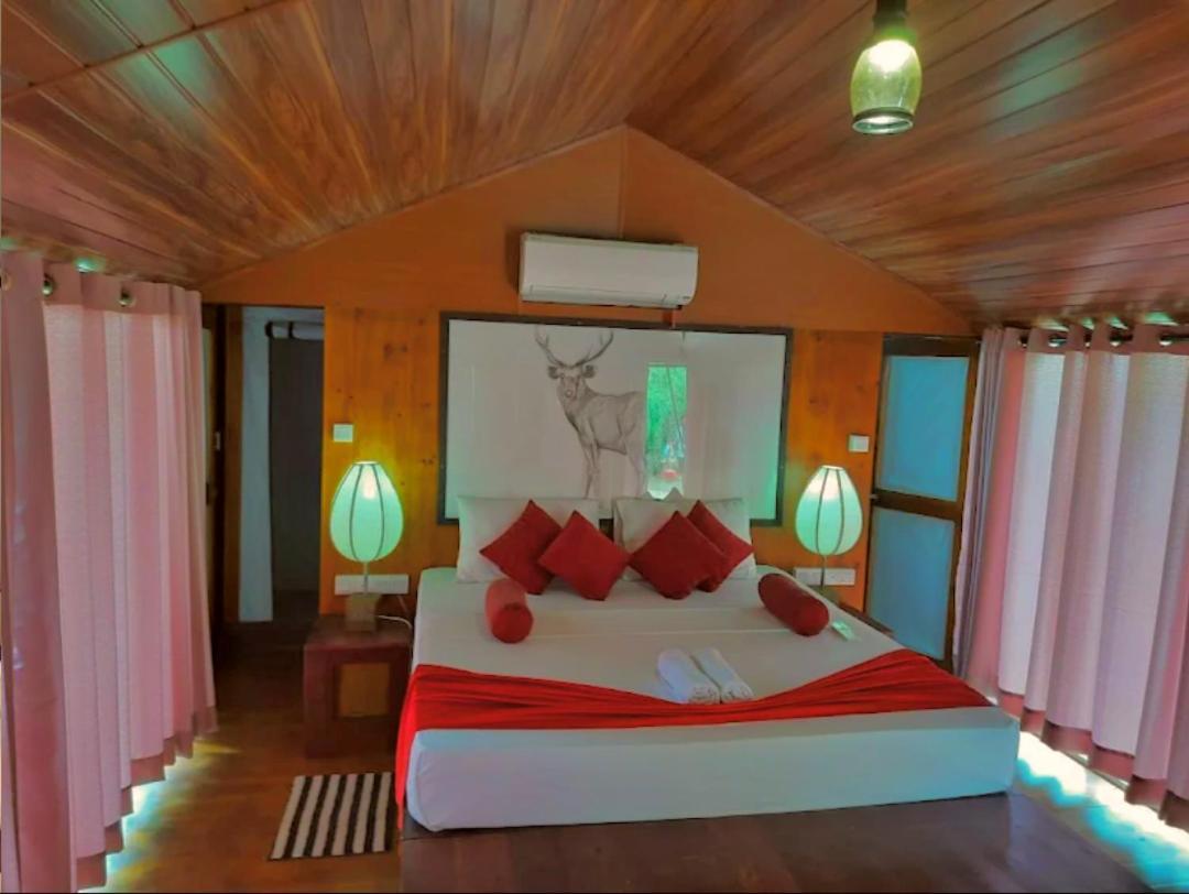 Yala Hotel Lion -Air Conditioned High Luxury Safari Camp المظهر الخارجي الصورة